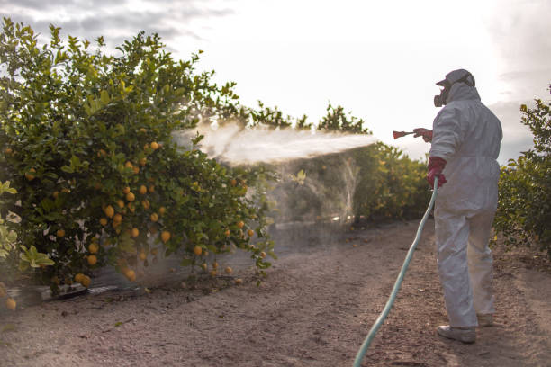 Best Best Pest Control Companies  in Tanque Verde, AZ