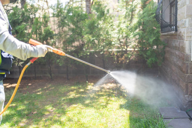 Best Pest Removal Services  in Tanque Verde, AZ