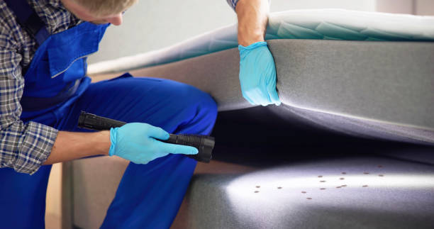 Trusted Tanque Verde, AZ Pest Control Experts