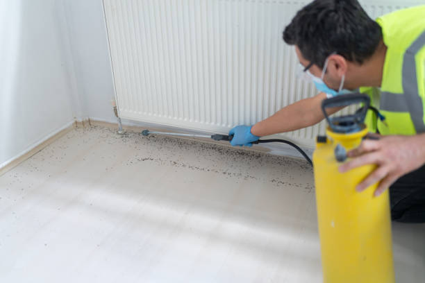 Best Best Pest Control Companies  in Tanque Verde, AZ